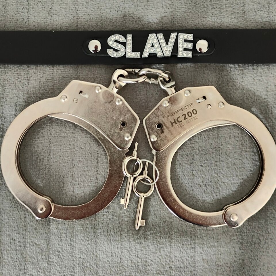 IMG_20230707_101921_668_Original.jpeg - Ppies