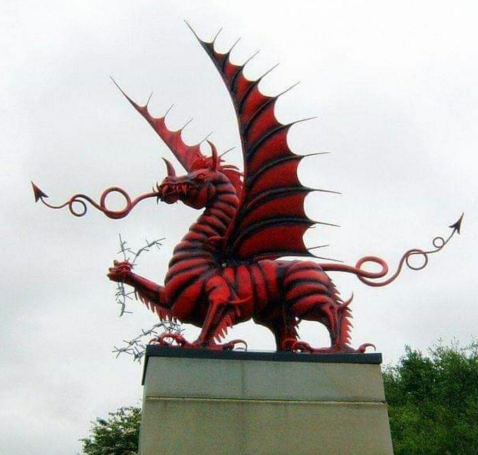 20237618_213322.jpg - ika13