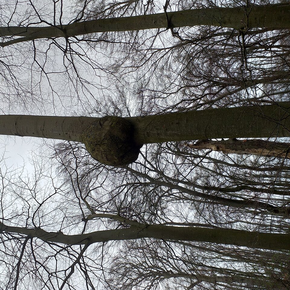 20230413_111113.jpg - Kamil96seks