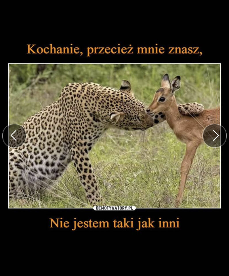 IMG_8080.jpeg - May_Day