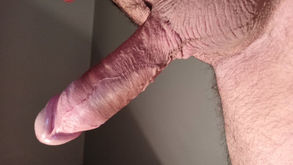 IMG_20240124_215733.jpg - PanZetYX