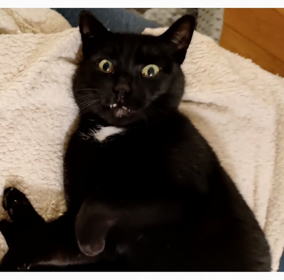 IMG_20240125_205447.jpg - Syzyf81