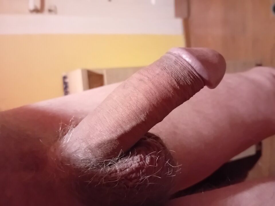 20240127_050652.jpg - brus13