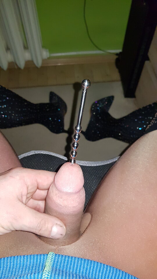 20240127_065949.jpg - bruno1981