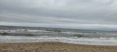 IMG_20240127_115804.jpg