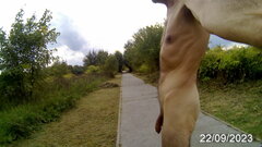 Żabie Doły 1 20230922_172852A.mp4_snapshot_01.47.706.jpg