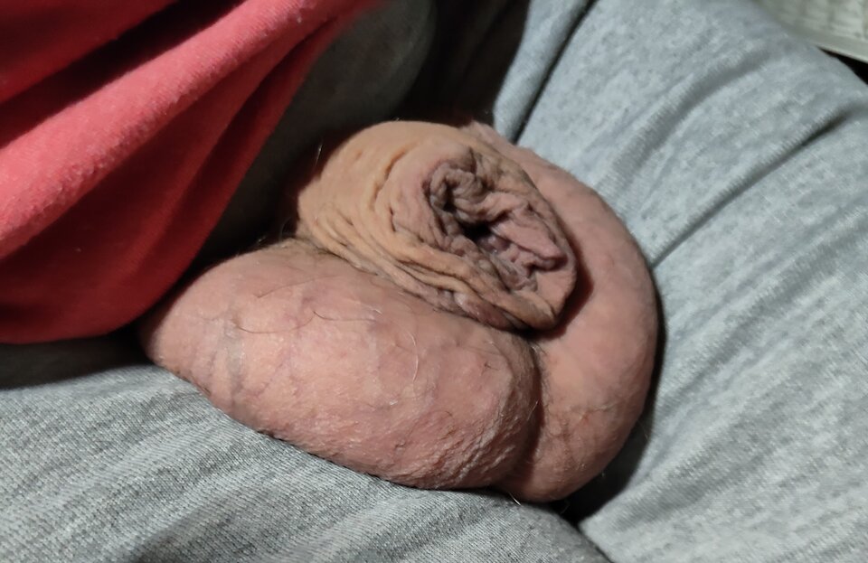 1000013175.jpg - jogan