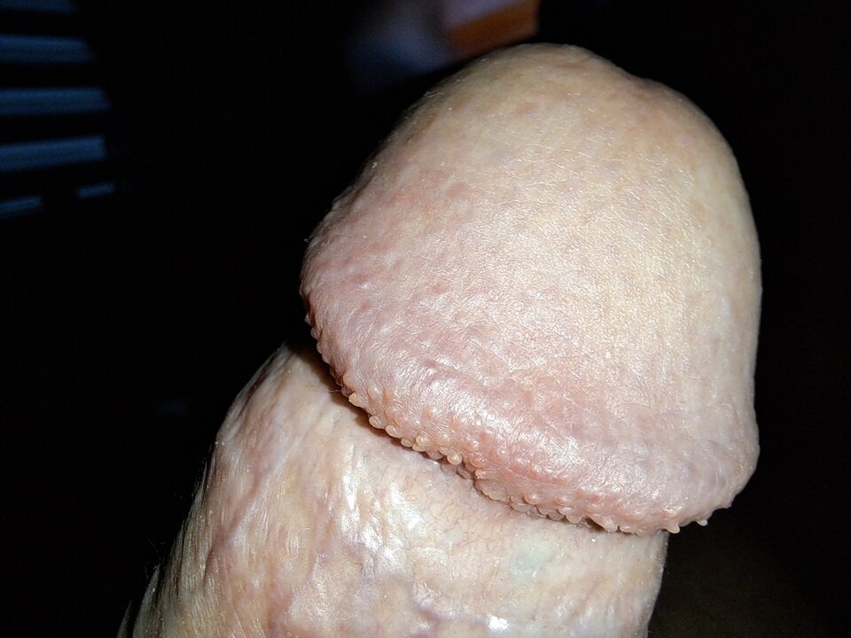 1000015683.jpg - rafal1410