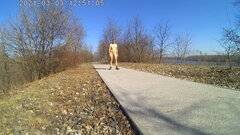 20210303_125044A.mp4_snapshot_00.20_[2021.03.03_20.12.19].jpg