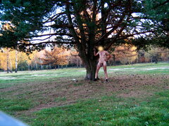 IMG_1237.JPG