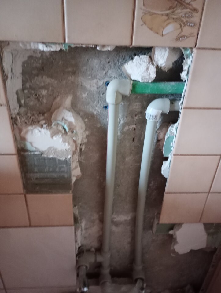 IMG_20240131_103532.jpg - pulchna65