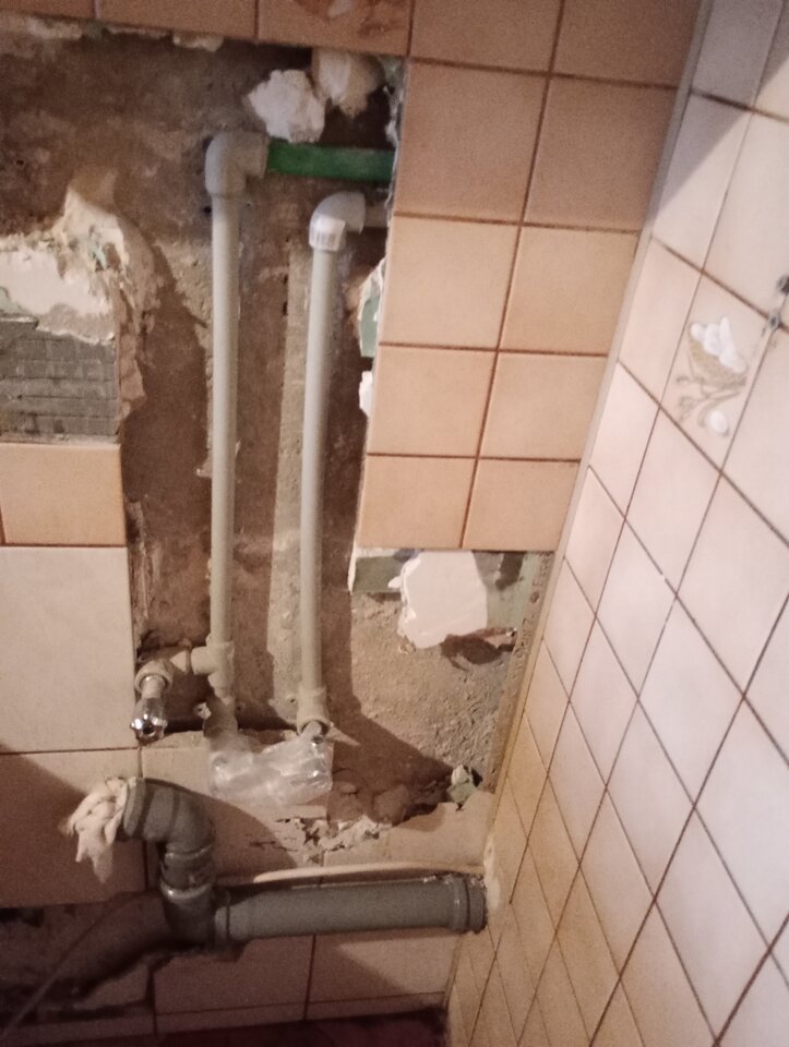 IMG_20240129_163114.jpg - pulchna65