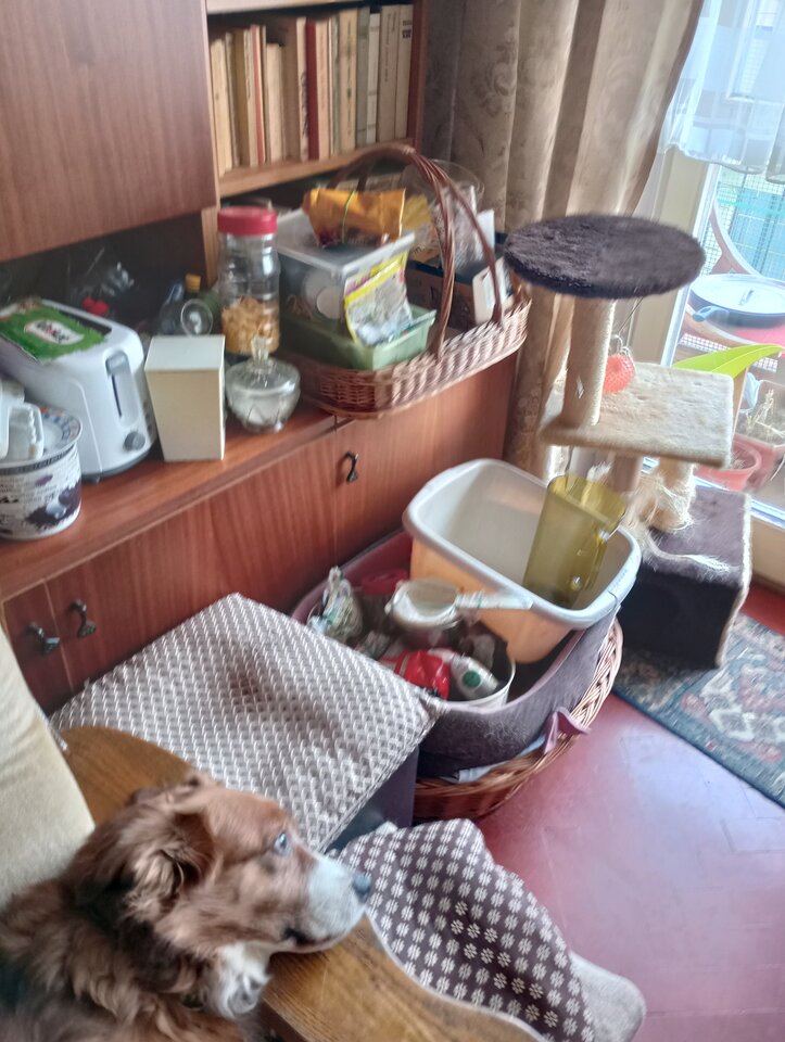 IMG_20240204_103818_HDR.jpg - pulchna65