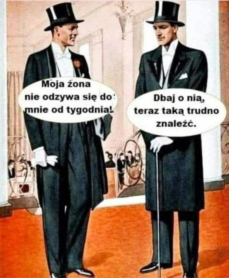 IMG-20240204-WA0012.jpg - Mik62