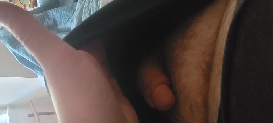 17074105792258891133583267014540.jpg - luis1974