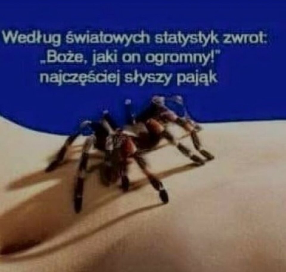 IMG_20240202_075857.jpg - Elliza