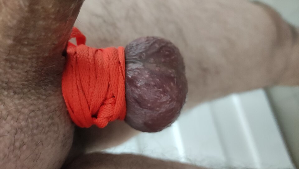 IMG_20240210_174615.jpg - Kriss7788