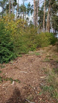 20231015_120807_03.jpg