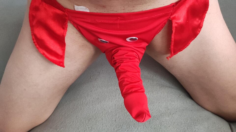 IMG_20240211_124611.jpg - Witwini