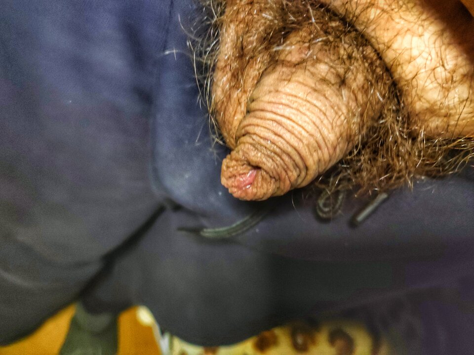 1707757346401-01.jpeg - PuszystyLubuskie