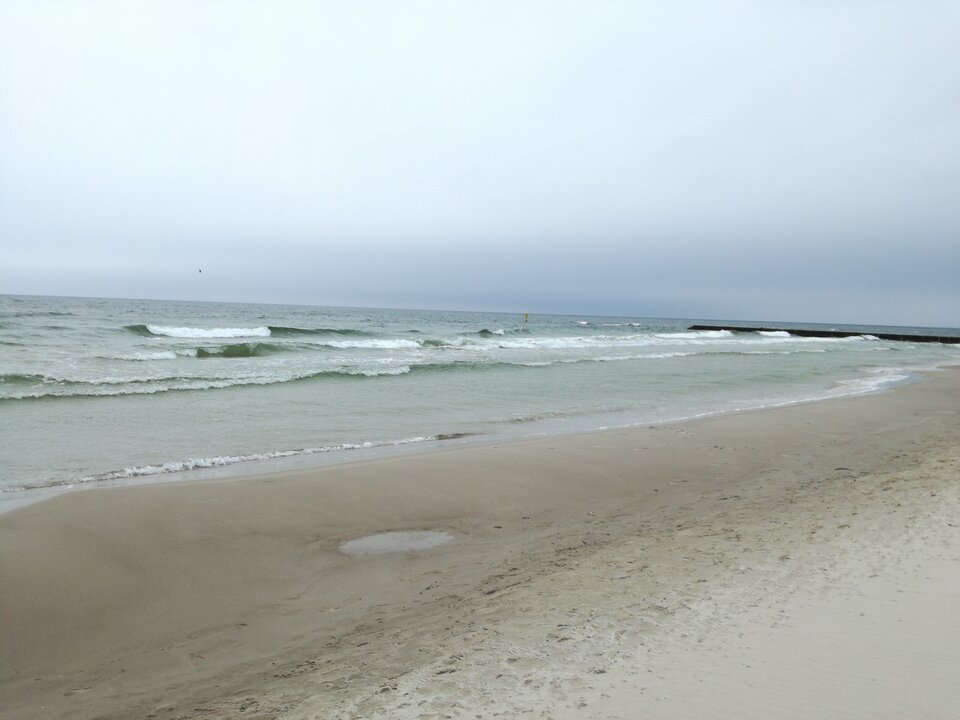 IMG_20190427_162054.jpg - lulu01