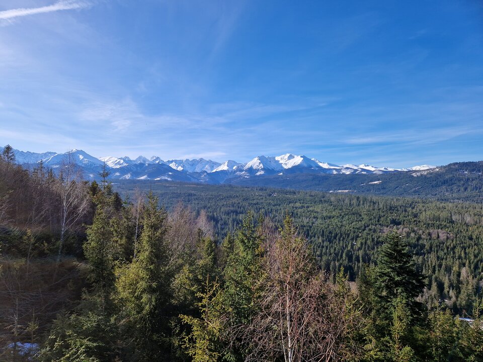 1000006787.jpg - Gaban43