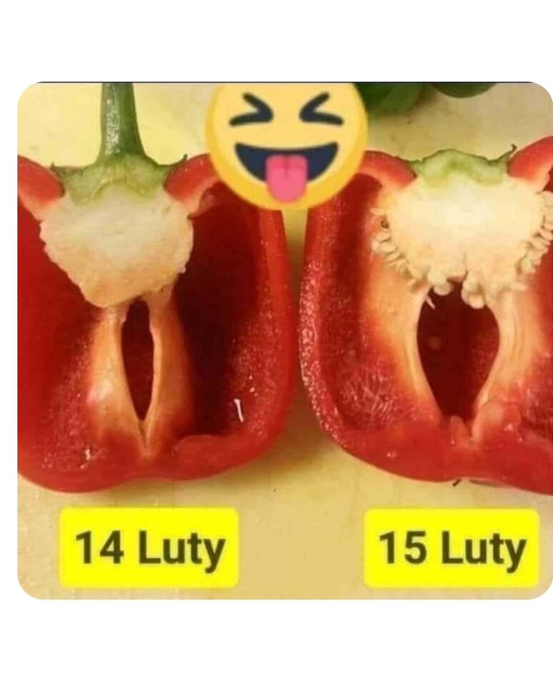 IMG_20240215_073527.jpg - 22zawieja