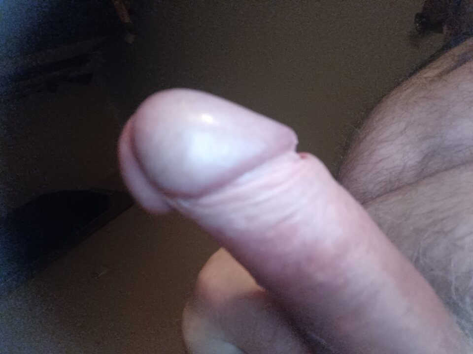 17080583373803704688738630468624.jpg - ardas1
