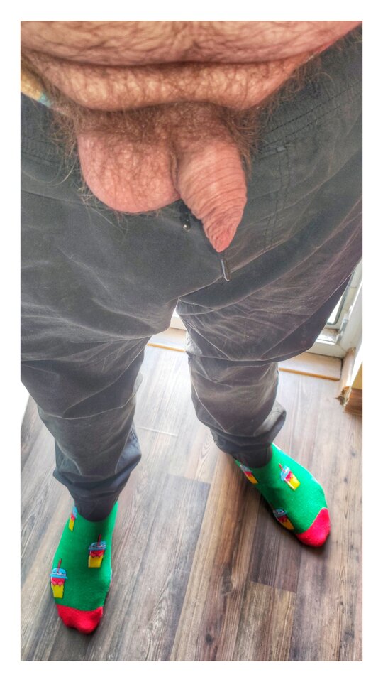 1708094659082-01.jpeg - PuszystyLubuskie