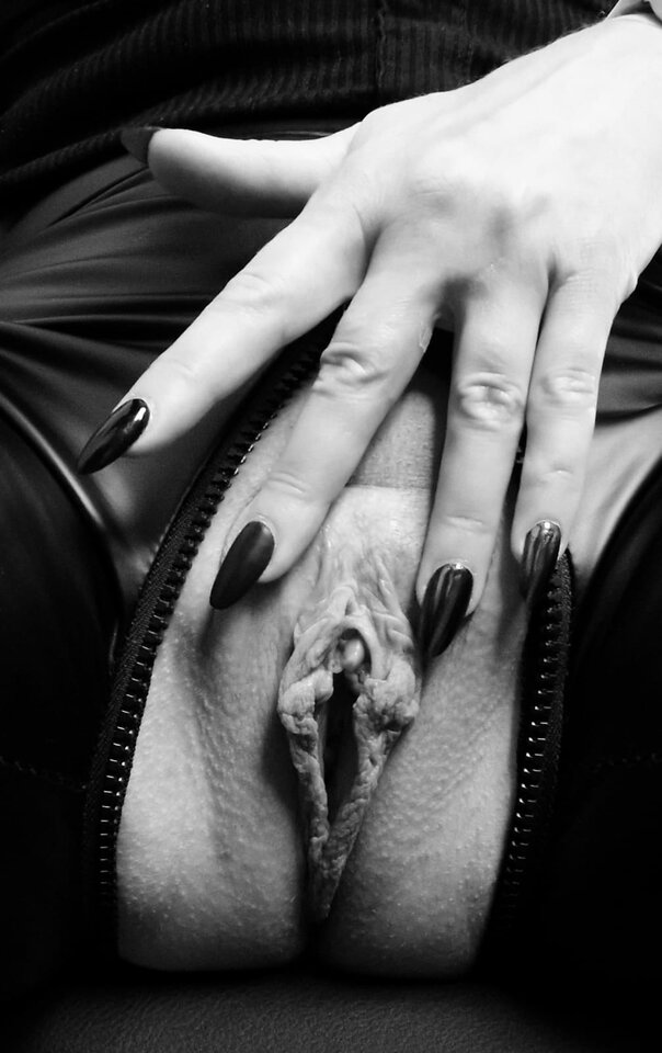 IMG-20240208-WA0022.jpg - SyskaSzary