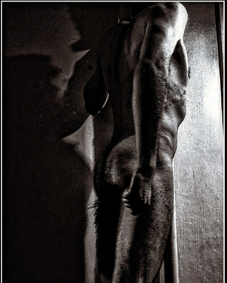 IMG_20231109_205935_960.jpg - KOMBAJNISTAkrk