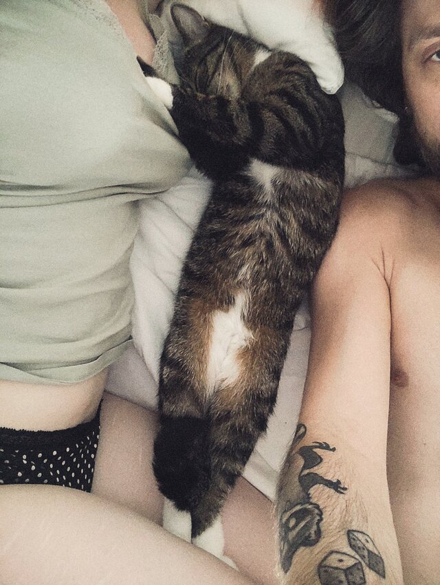 Love_Cats