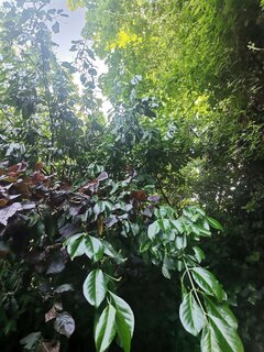 IMG_20230522_181938.jpg
