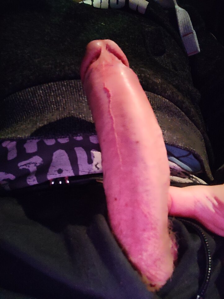 IMG_20240219_044109.jpg - AdamWolny12