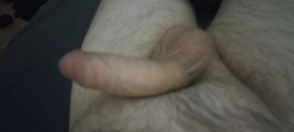 IMG_20240219_204625.jpg - Woja89