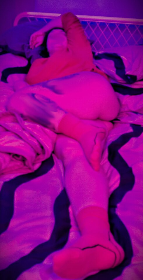 neonevening.jpg - paputy