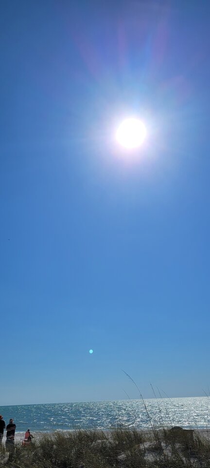 20240221_145222.jpg - bos31