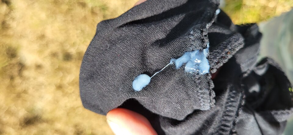 20230625_152601.jpg - BESTIALITY