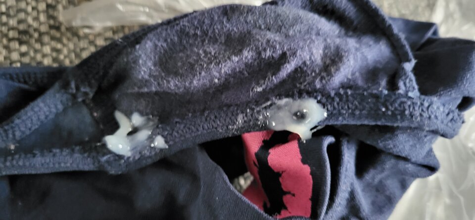 20221117_104734.jpg - BESTIALITY