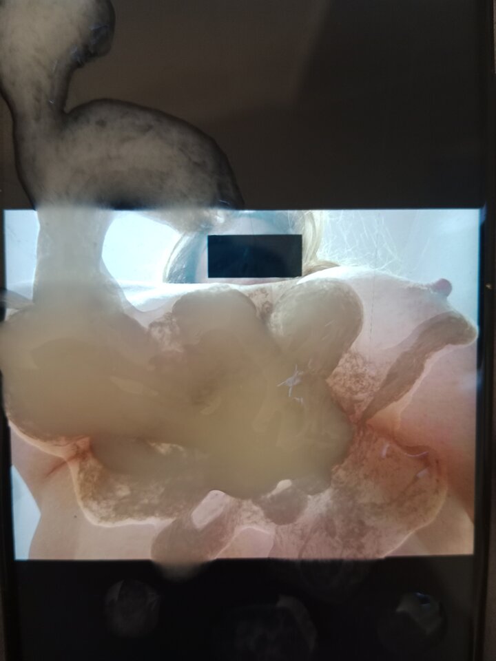 attach.jpeg - EndrjuEmi