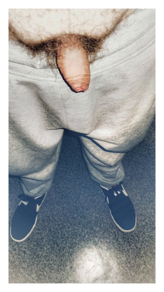 1708729397285-01.jpeg - PuszystyLubuskie