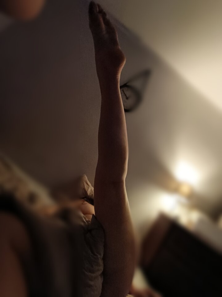 IMG_20240224_010009.jpg - gatitos