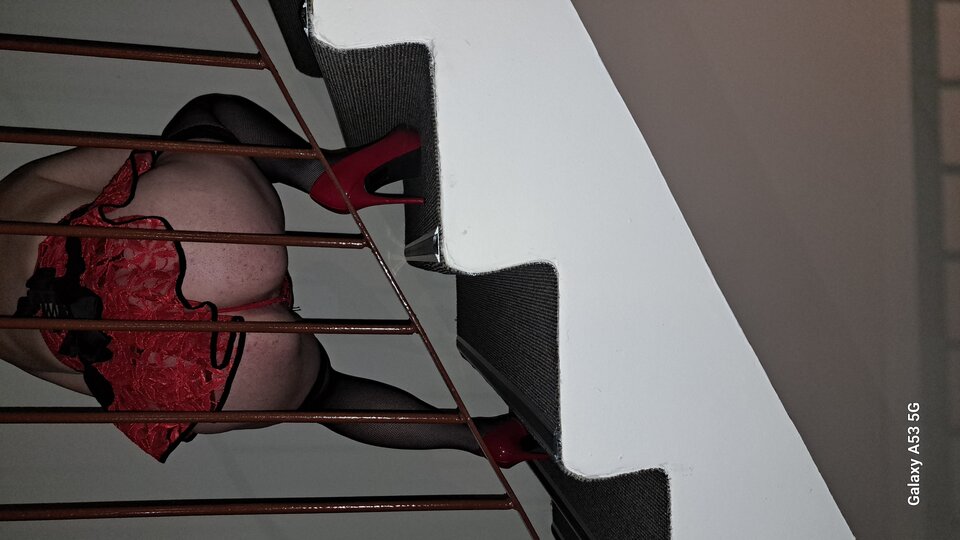 1000028913.jpg - Myzaciekawieni1