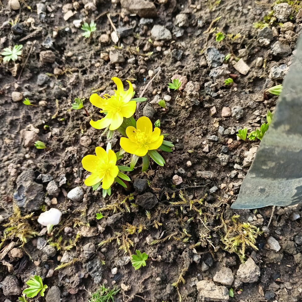 IMG20240216140503.jpg - Zapamietaj3