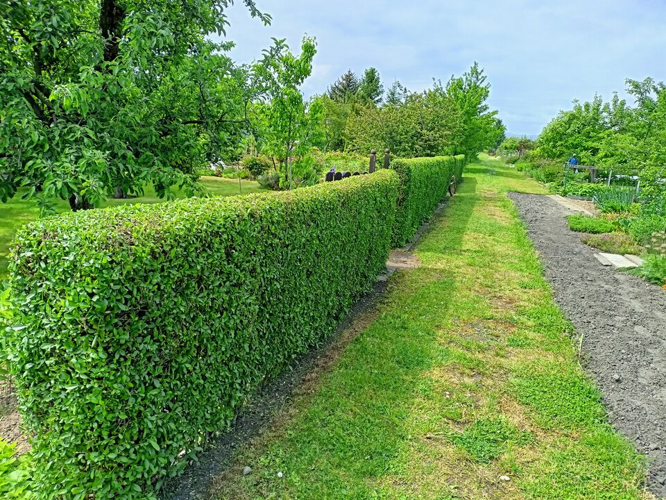 IMG20230526105407.jpg - Zapamietaj3