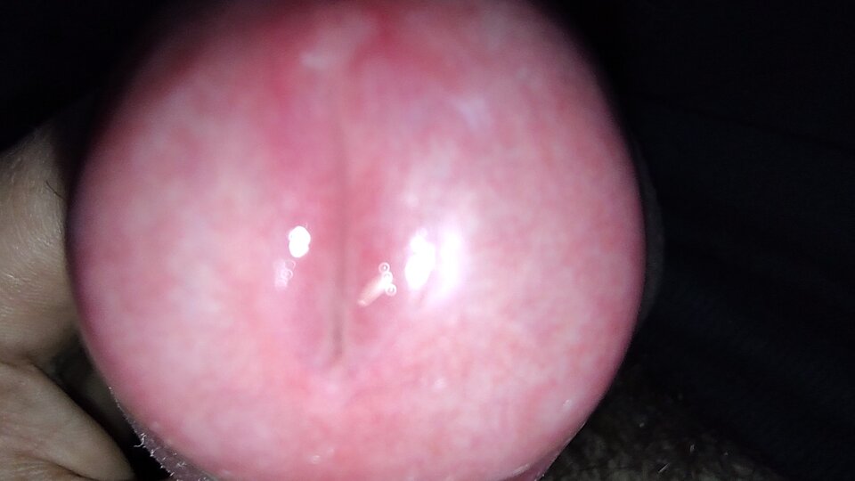 No - Fiutkutaschujjaja