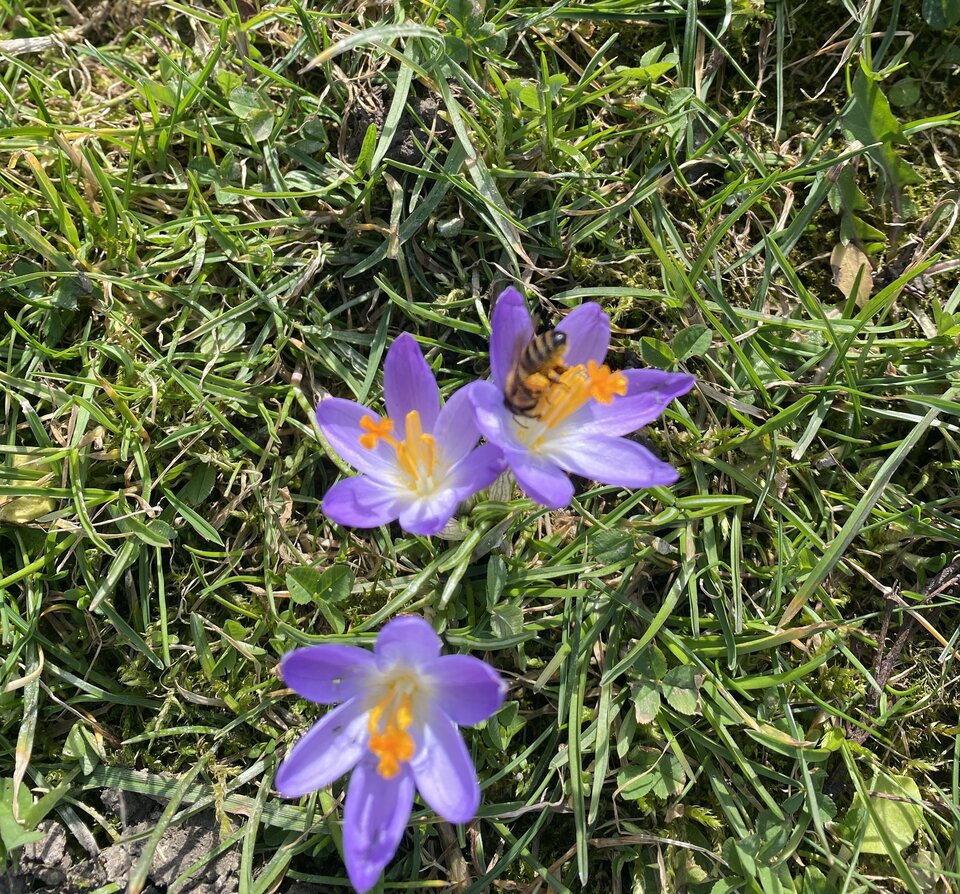 IMG_8761.jpeg - May_Day