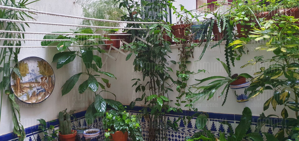 Deszczowo 💪💪💪 - Adminki