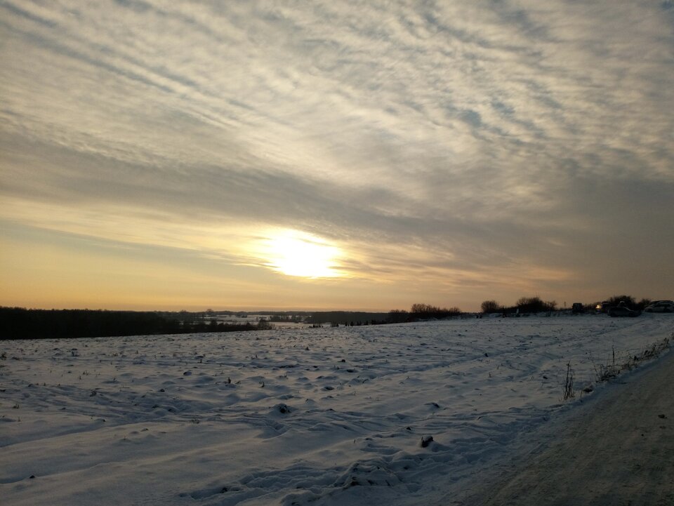 DSC_2205.JPG - cuck4456