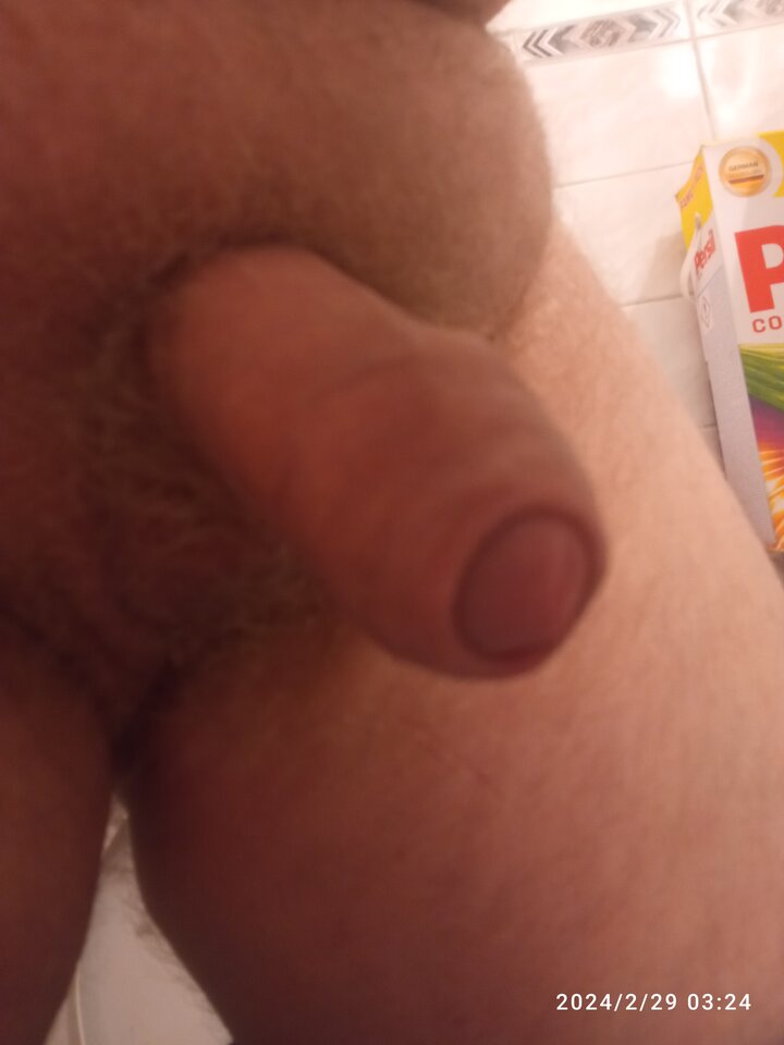 IMG_20240229_032414.jpg - Kopek2681